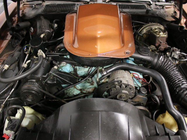 1978 Pontiac Firebird Trans Am - photo 4