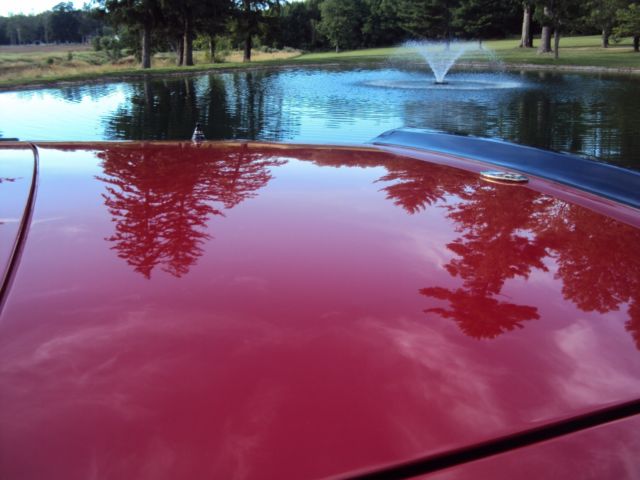 1987 Alfa Romeo Spider Graduate - photo 4