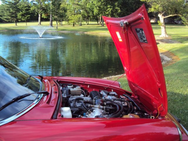 1987 Alfa Romeo Spider Graduate - photo 7