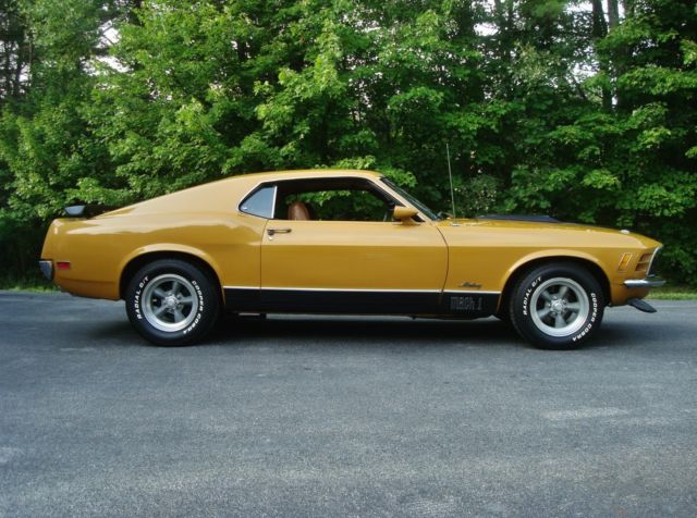 1970 Ford Mustang Muscle Car/  Classic Car/ Antique Car
