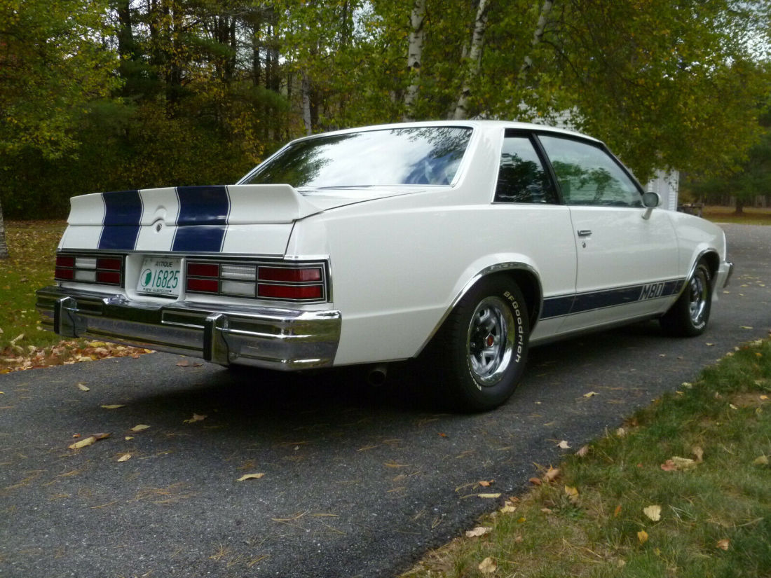 1980 Chevrolet Malibu Malibu Classic - photo 5