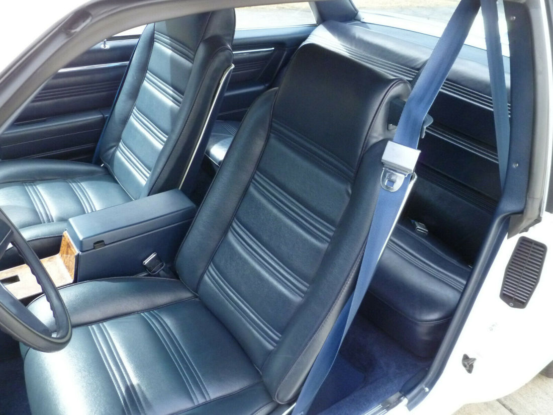 1980 Chevrolet Malibu Malibu Classic - photo 6