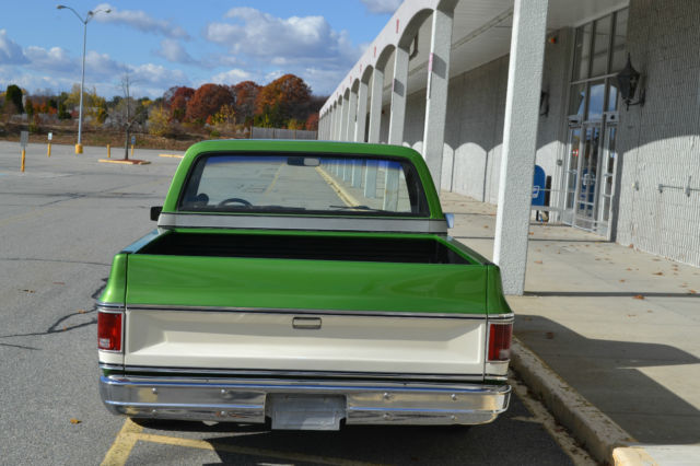 1980 Chevrolet C-10 Silverado - photo 7