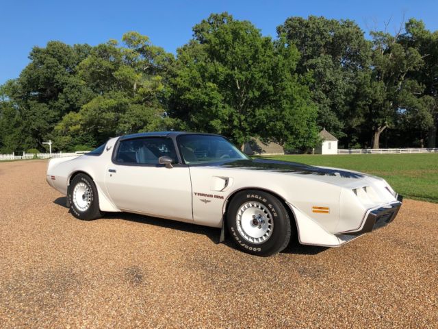 1980 Pontiac Trans Am - photo 6