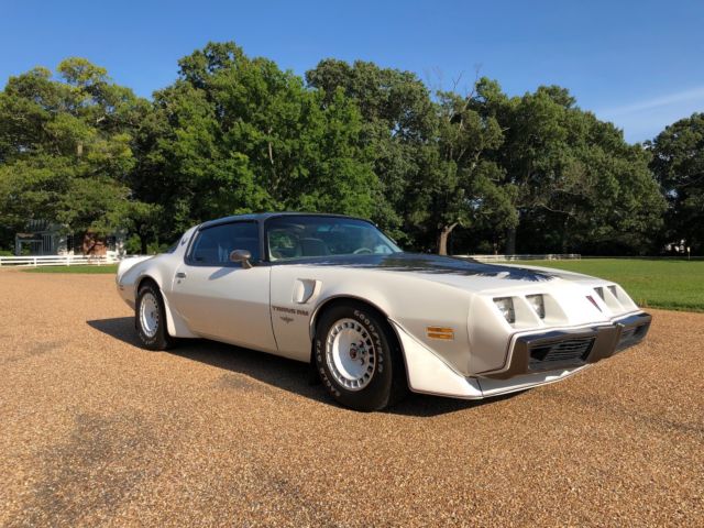 1980 Pontiac Trans Am - photo 7