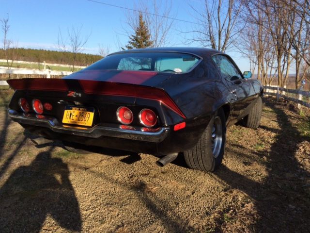 1973 Chevrolet Camaro LT1/Z28 - photo 13