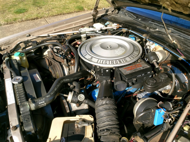 1981 Chrysler Imperial - photo 11