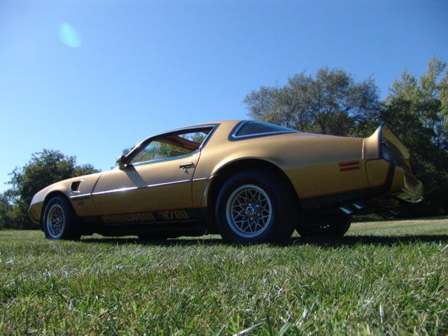 1979 Pontiac Trans Am AC PS PB's - photo 9
