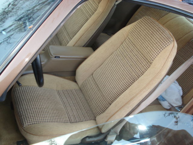 1981 Pontiac Trans Am - photo 10