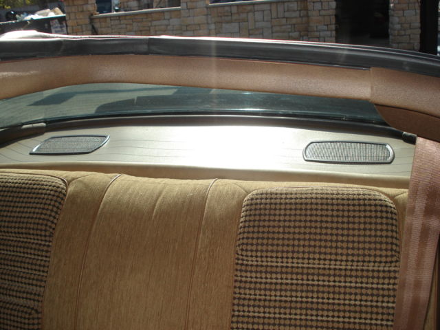 1981 Pontiac Trans Am - photo 12