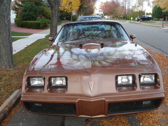 1981 Pontiac Trans Am - photo 2