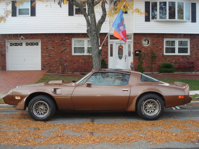 1981 Pontiac Trans Am - photo 3