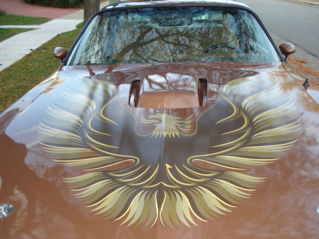 1981 Pontiac Trans Am - photo 4