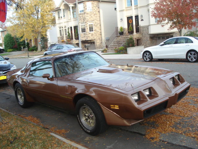 1981 Pontiac Trans Am - photo 5