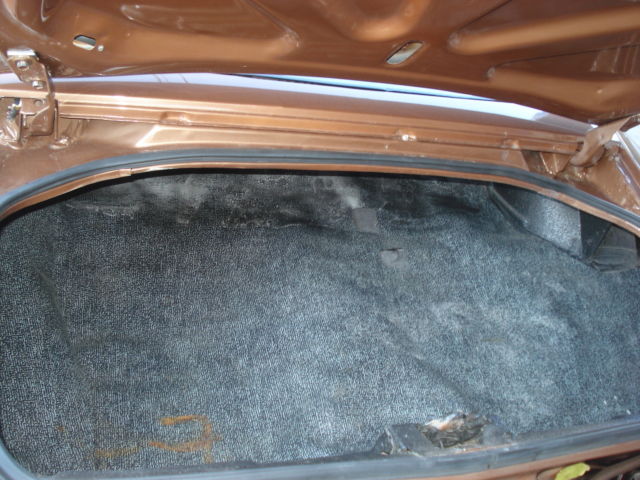 1981 Pontiac Trans Am - photo 6