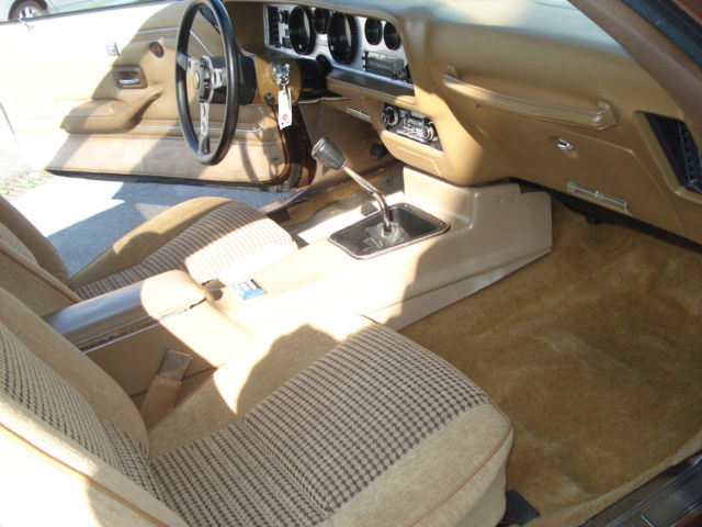 1981 Pontiac Trans Am - photo 8