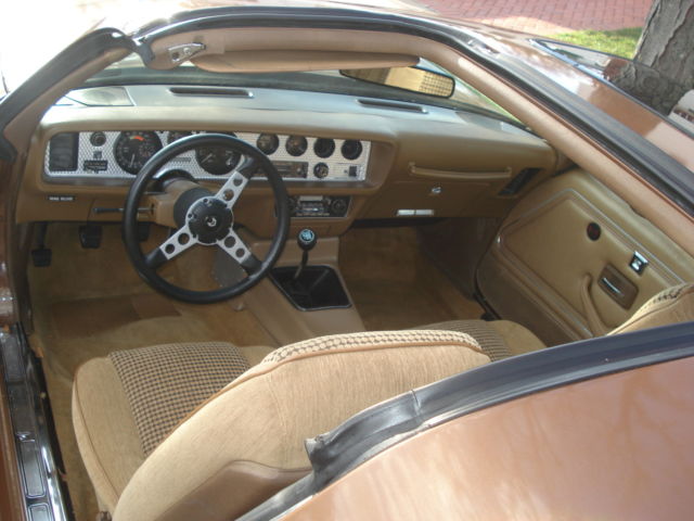 1981 Pontiac Trans Am - photo 9