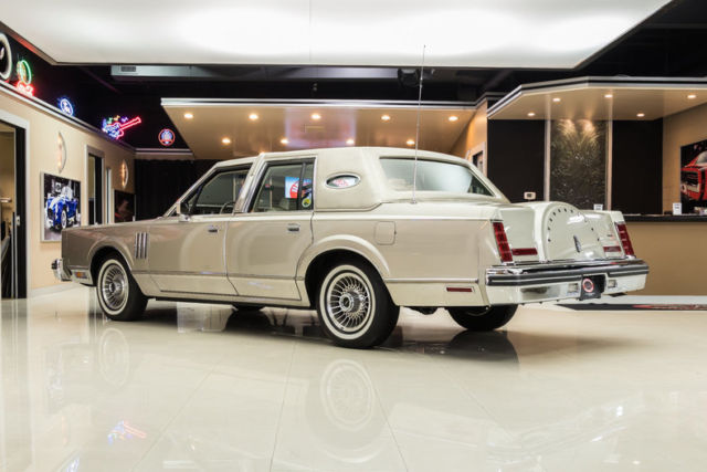 1980 Lincoln Continental Mark VI - photo 13