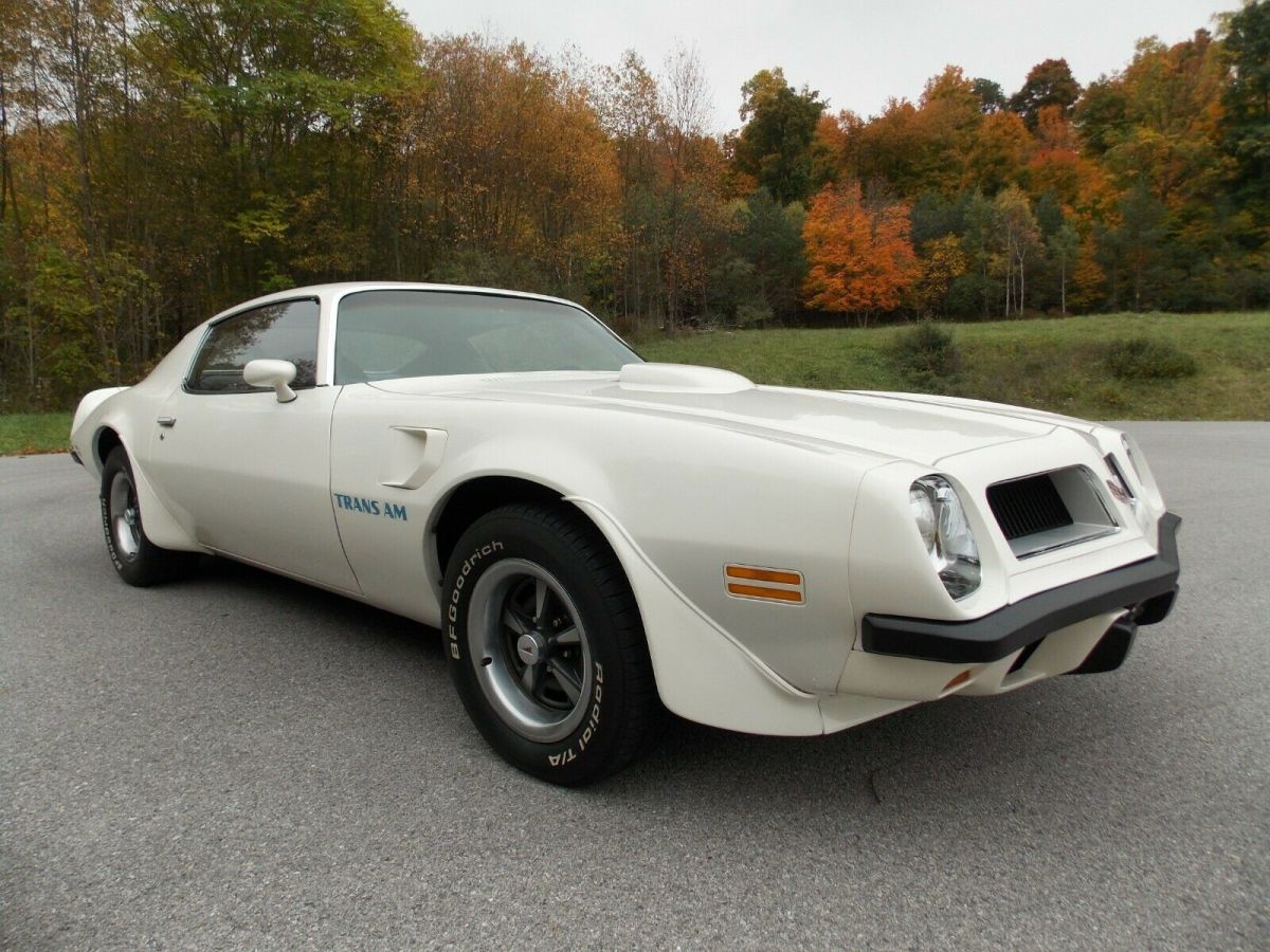 1974 Pontiac Trans Am - photo 3