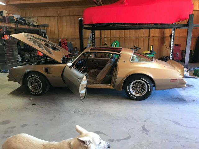 1978 Pontiac Firebird Trans Am - photo 11