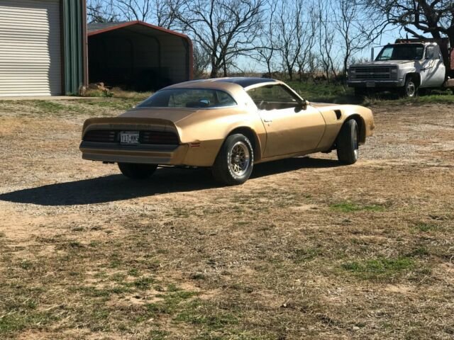 1978 Pontiac Firebird Trans Am - photo 2