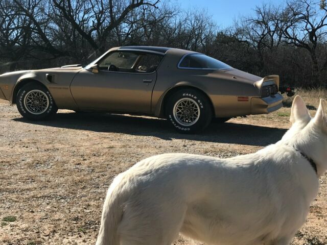 1978 Pontiac Firebird Trans Am - photo 3