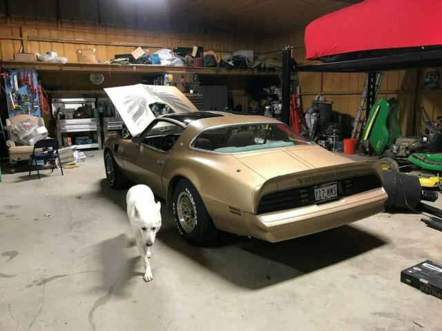 1978 Pontiac Firebird Trans Am - photo 6