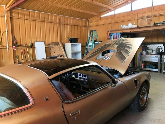 1978 Pontiac Firebird Trans Am - photo 7