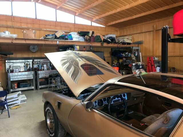 1978 Pontiac Firebird Trans Am - photo 8