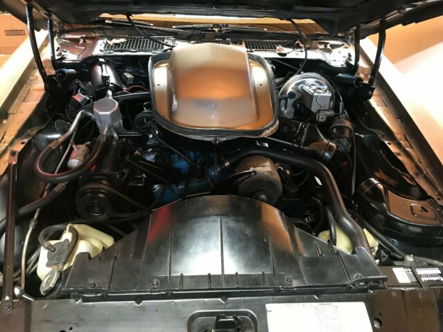 1978 Pontiac Firebird Trans Am - photo 9