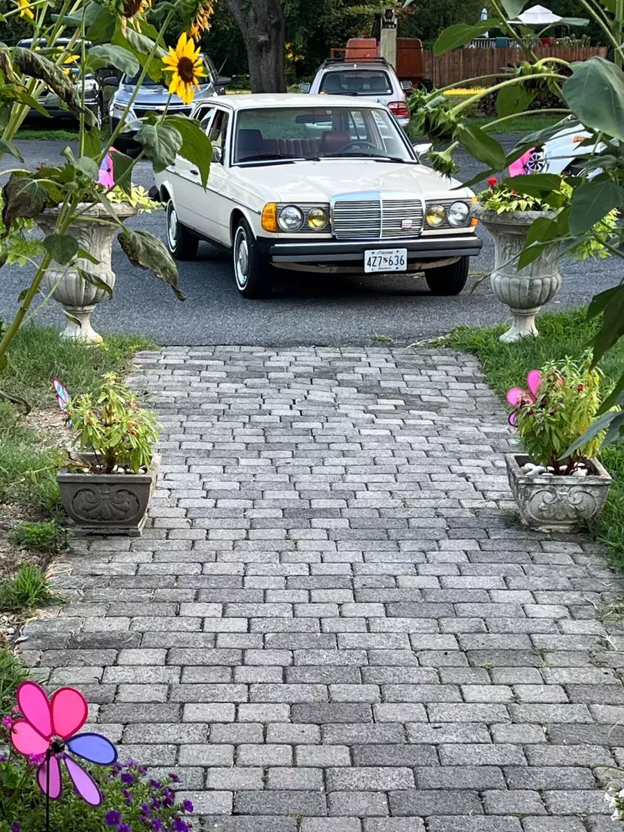 Mercedes 240 diesel 1981 Mercedes-Benz Other