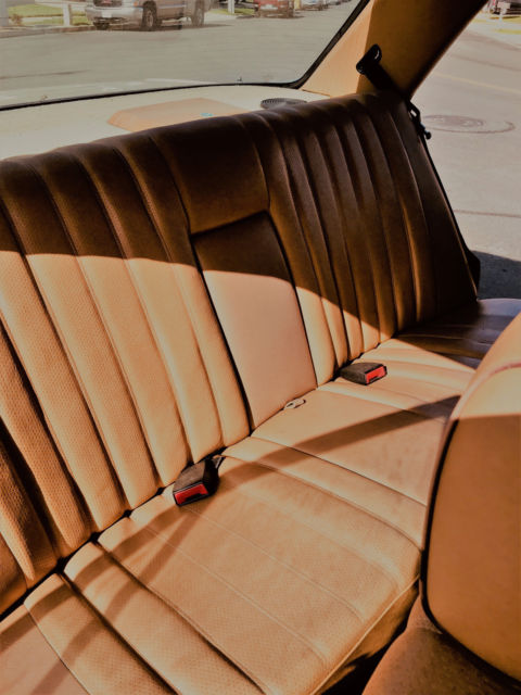 1982 Mercedes-Benz 200-Series - photo 9