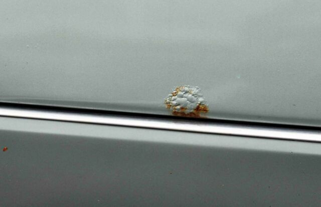 1993 Mercedes-Benz 300-Series - photo 12