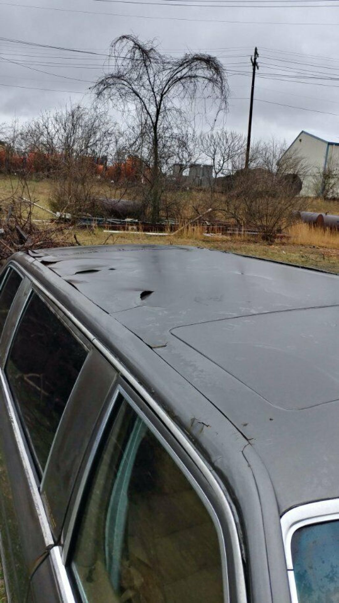 1990 Mercedes-Benz S-Class - photo 8