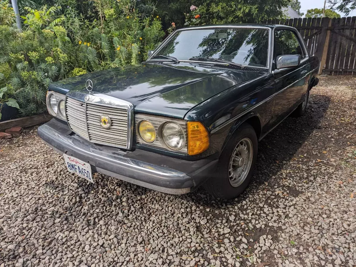1981 Mercedes-Benz 300-Series