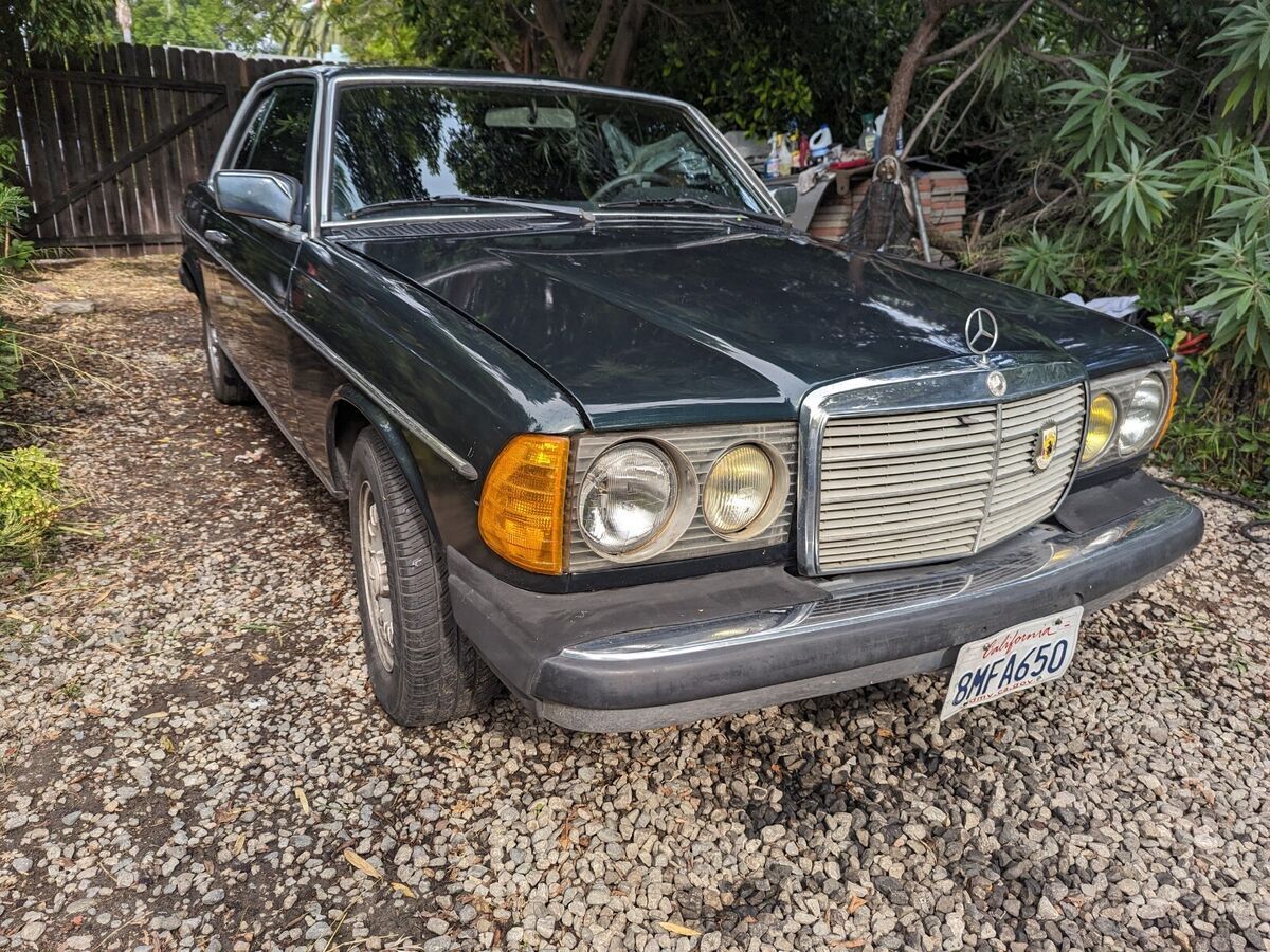 1981 Mercedes-Benz 300-Series - photo 3