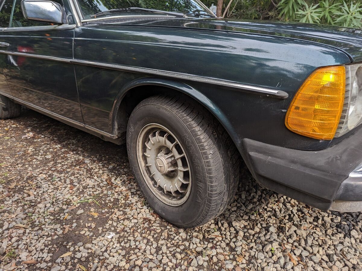 1981 Mercedes-Benz 300-Series - photo 4