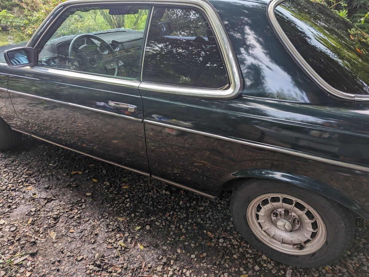 1981 Mercedes-Benz 300-Series - photo 6