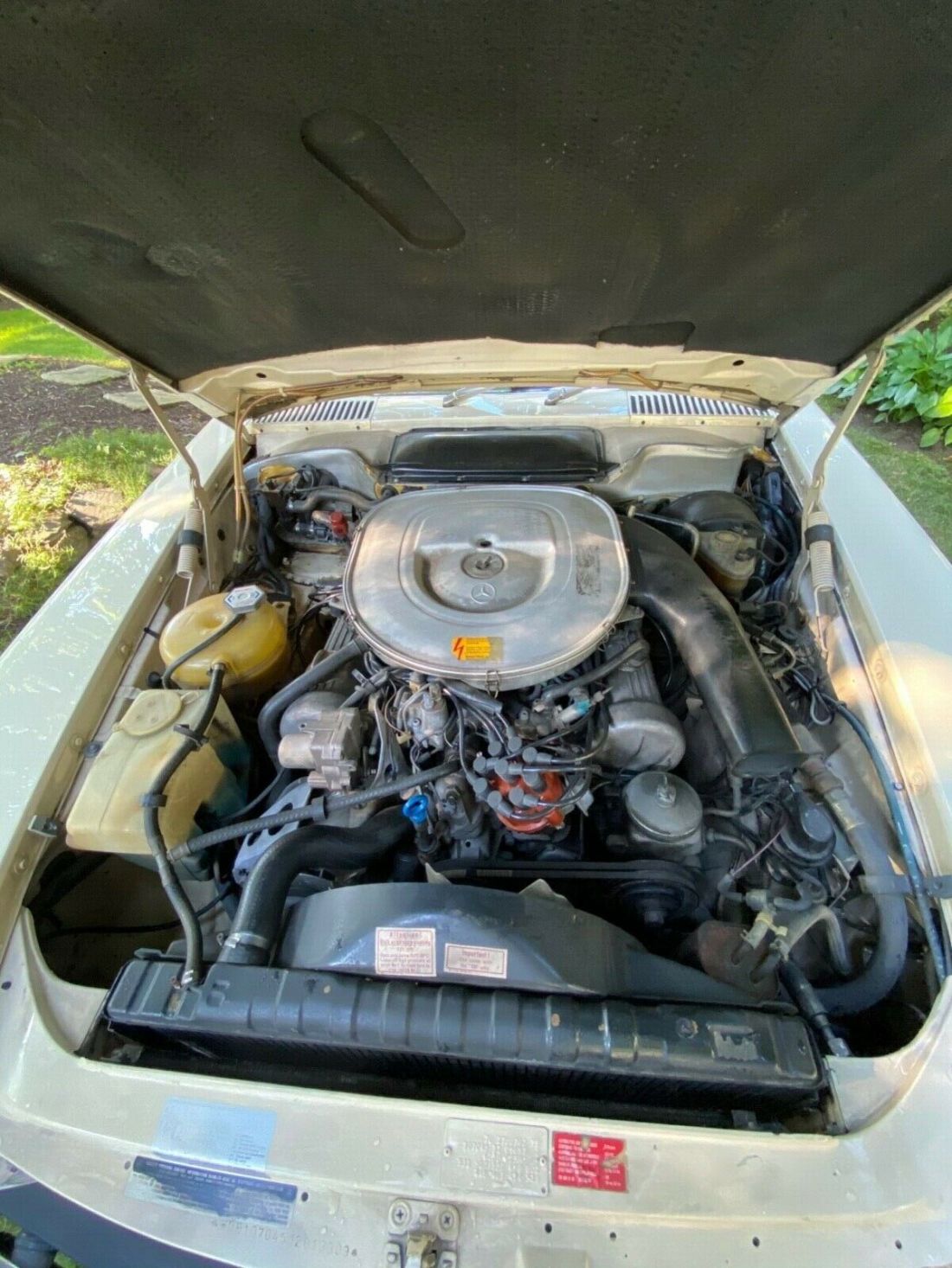 1982 Mercedes-Benz SL-Class - photo 10