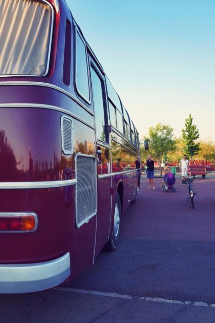 1973 Mercedes-Benz O302 - photo 3