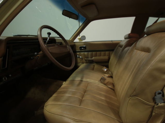 1976 Chevrolet Nova Concours - photo 4