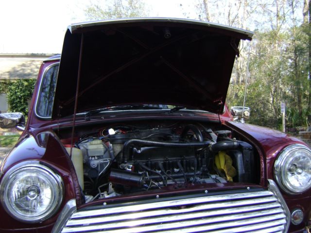 1989 Mini Classic Mini - photo 13
