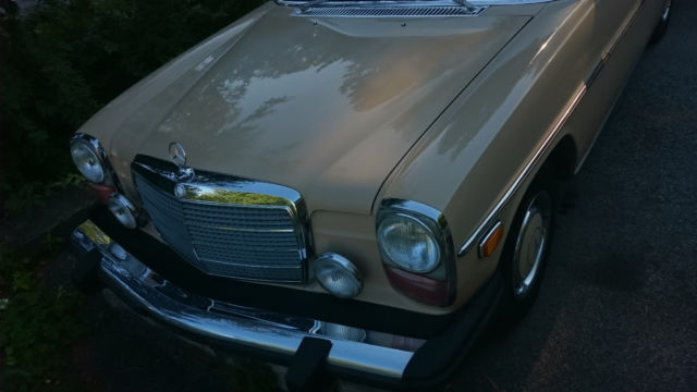1975 Mercedes-Benz 300-Series - photo 3