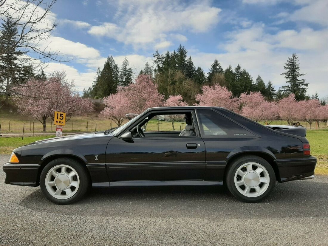 1993 Ford Mustang SVT Cobra. 41k OG Miles 1 Owner. Pristine! 79 Pics - photo 5