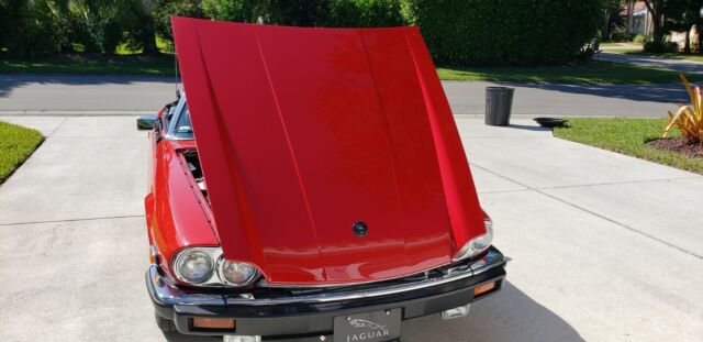 1990 Jaguar XJS V12 Convertible - photo 5