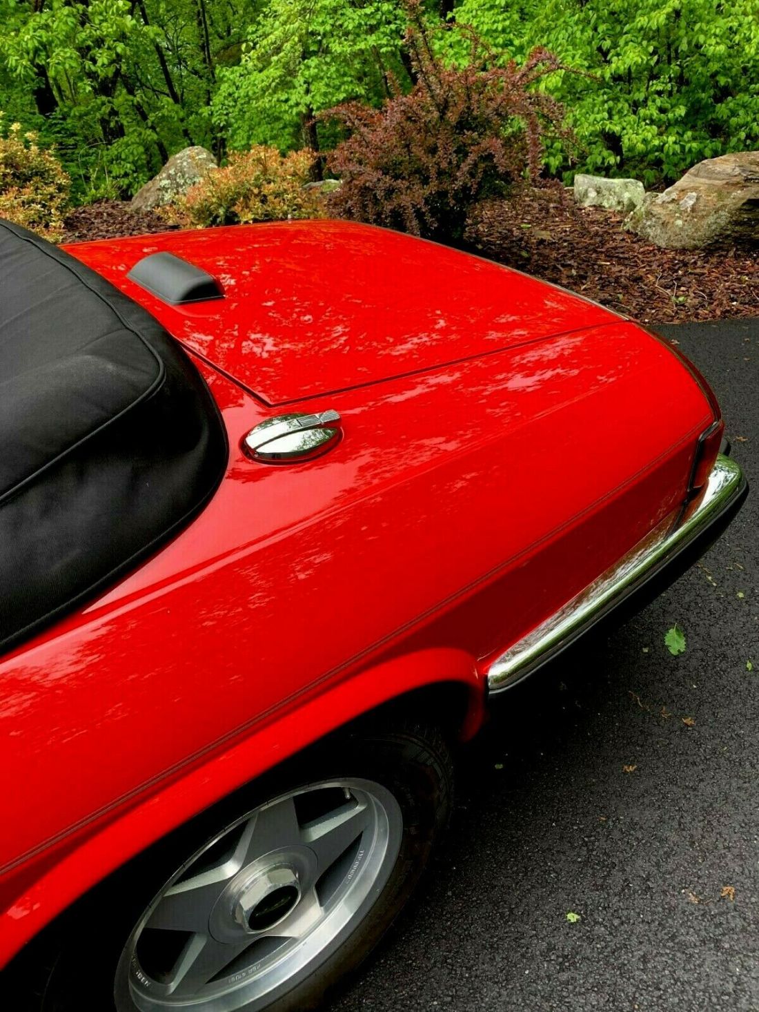 1989 Jaguar XJS - photo 3