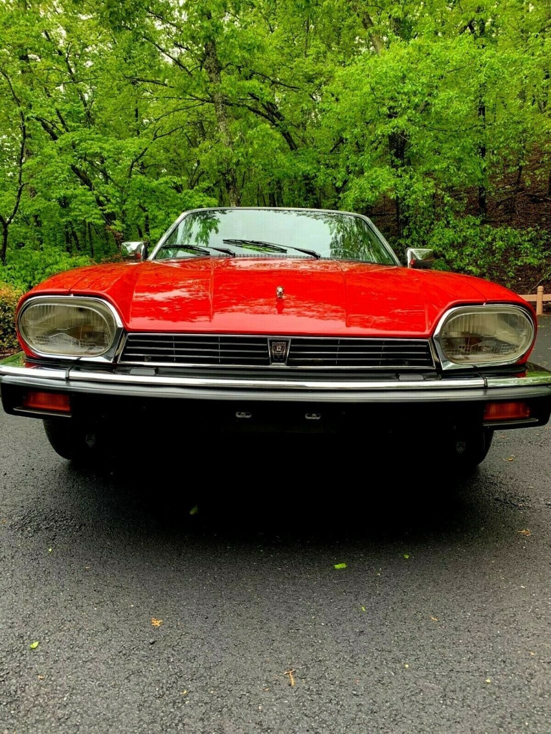 1989 Jaguar XJS - photo 9