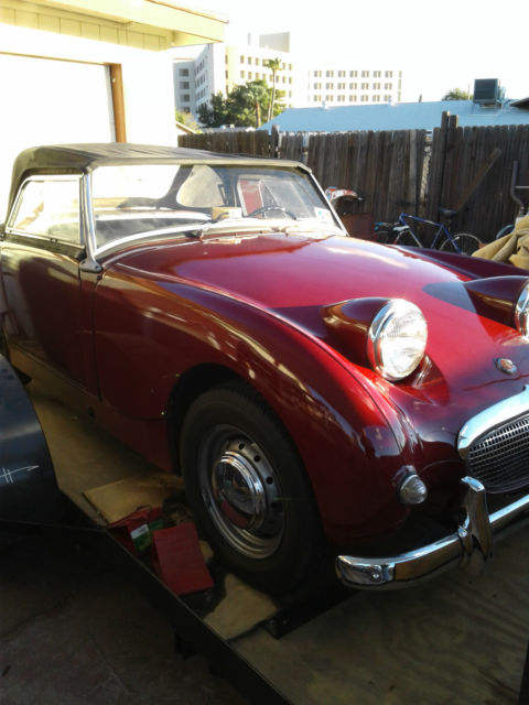 1959 Austin Healey Sprite  - Adorable Classic - photo 11