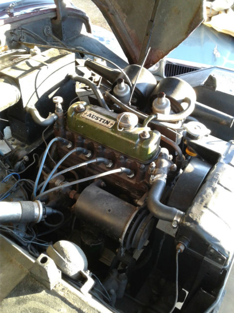 1959 Austin Healey Sprite  - Adorable Classic - photo 9