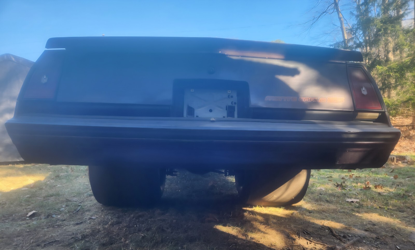 1986 Chevrolet Monte Carlo - photo 5